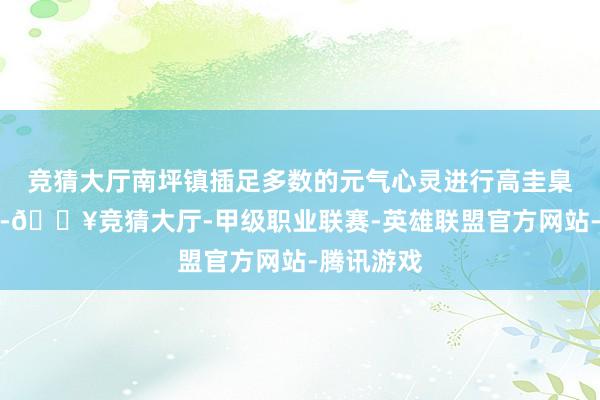 竞猜大厅南坪镇插足多数的元气心灵进行高圭臬农田建造-🔥竞猜大厅-甲级职业联赛-英雄联盟官方网站-腾讯游戏